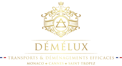 Déménager de Paris à Cannes : comment choisir la bonne entreprise de déménagement ?