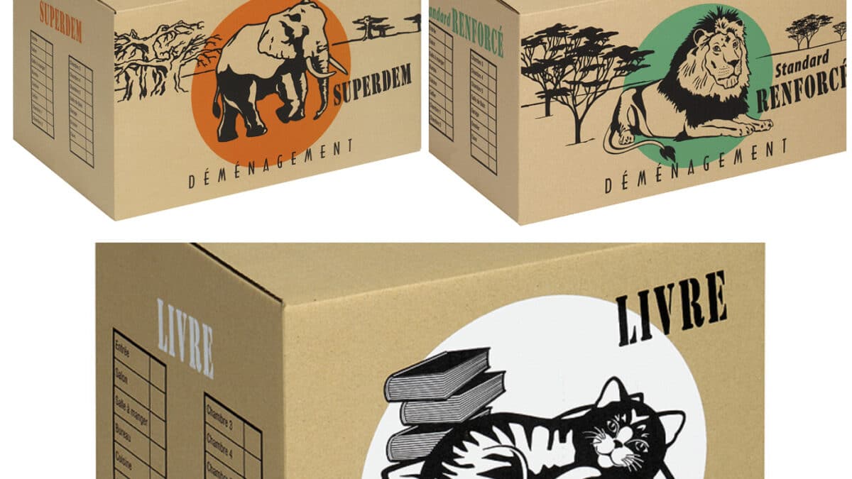 carton demenagement